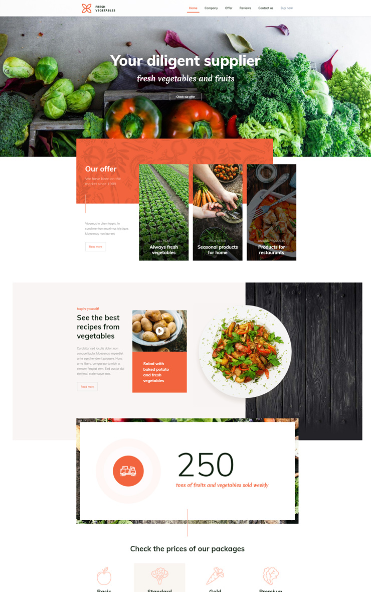 diyetisyen-web-sayfasi1