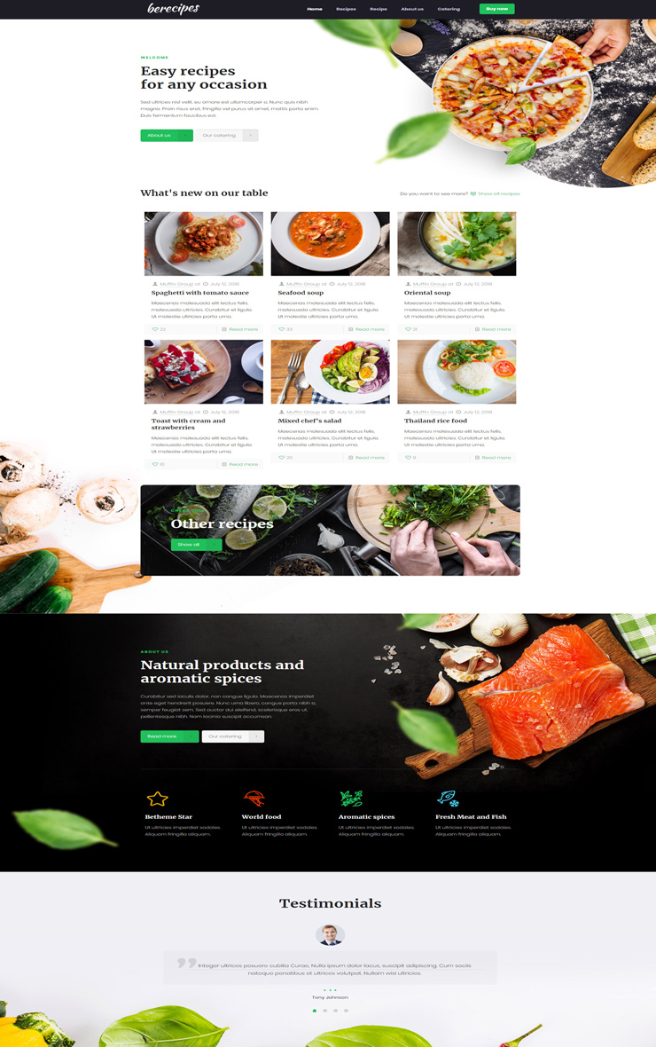 diyetisyen-web-sitesi2